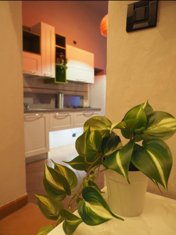 Il Nido Dell'Aquila By Francigenaapartments Siena Eksteriør bilde